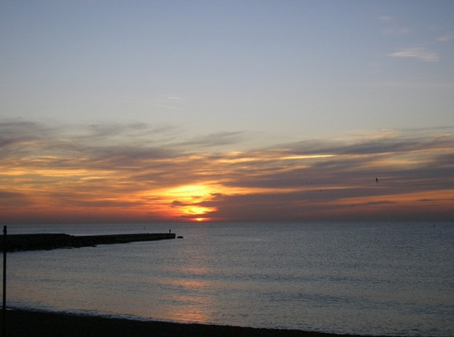 roig_023.jpg