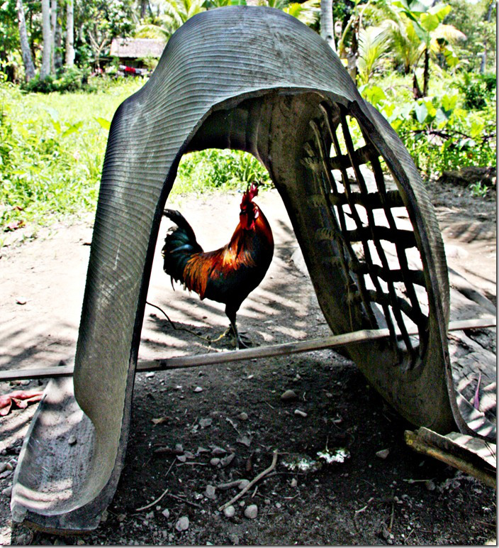 roosers-roost-003-photo-by-samuel-e-warren-jr_thumb.jpg