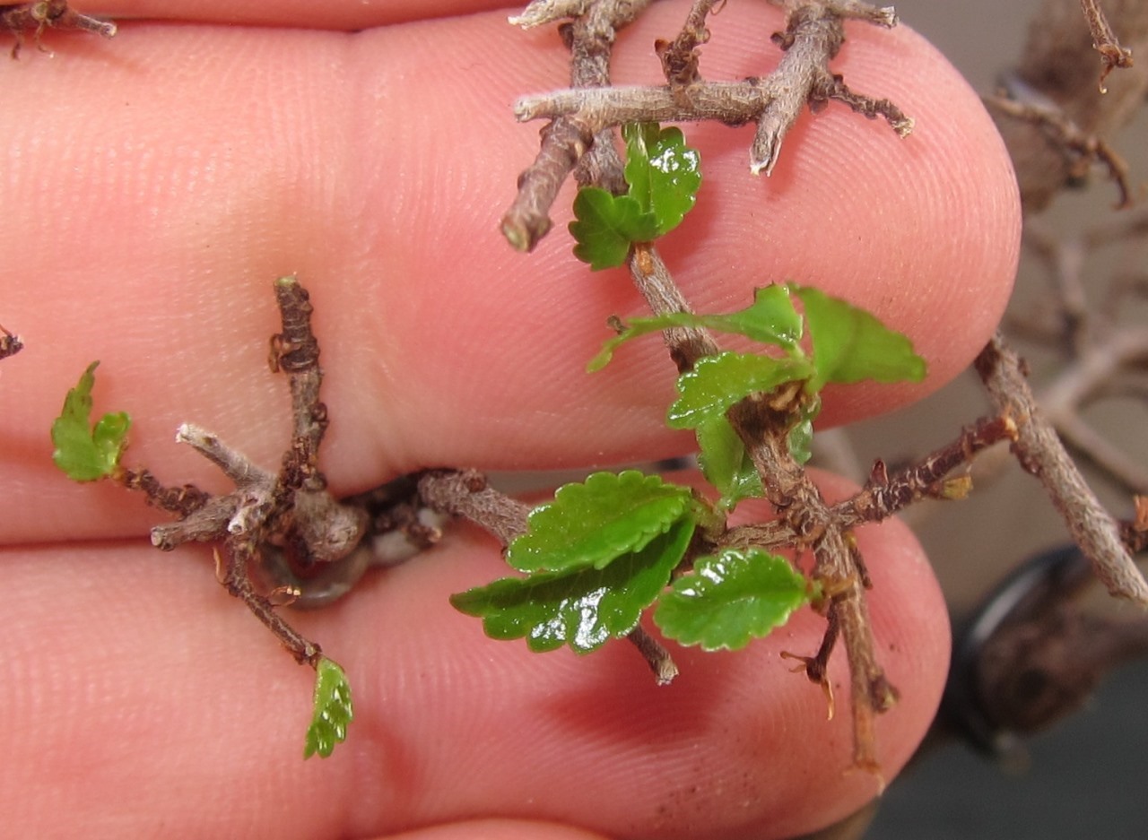 root10.jpg