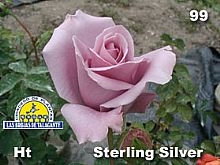 Rosa%20hibrida%20%2099%20Sterling%20Silver%20copia.jpg