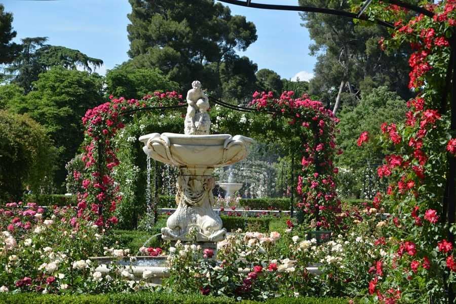 Rosaleda-del-Retiro-6.jpg