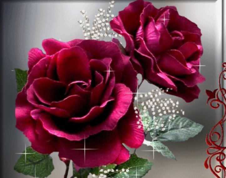Rosas-31.jpg