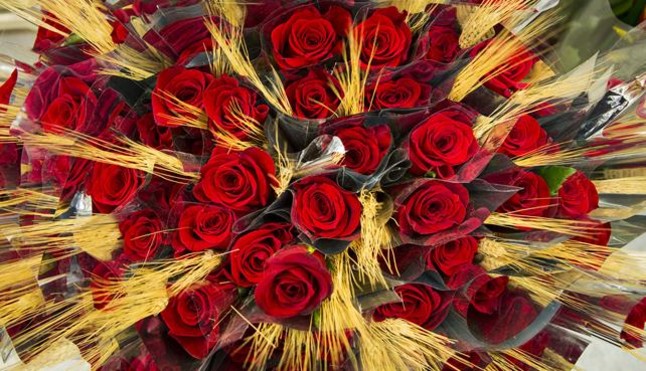 rosas-preparadas-para-sant-jordi-1366312888951.jpg