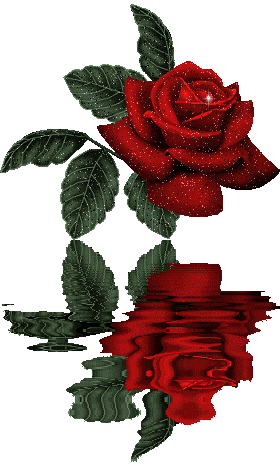 rosas_166.gif