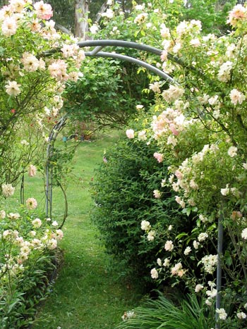 rose-garden-arch.jpg