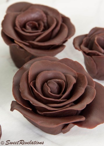 roses-1.jpg