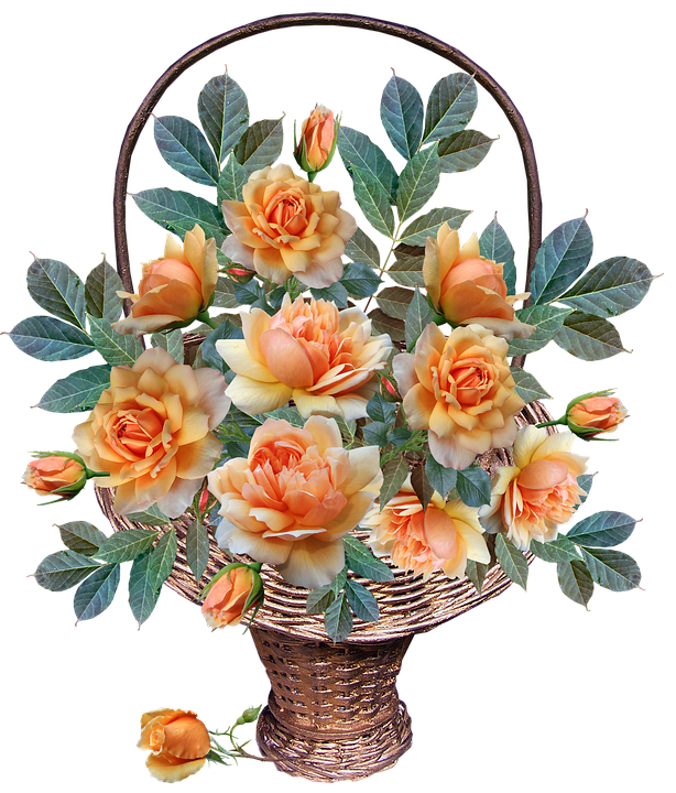 roses-4138894_960_720.png