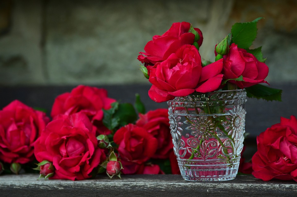roses-821705_960_720.jpg