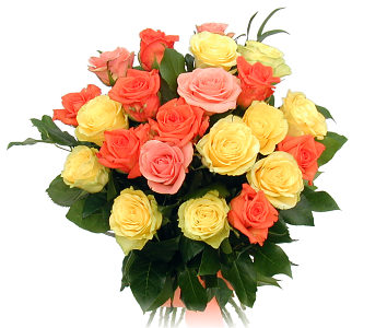 roses6.jpg