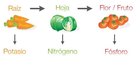 rotacion-cultivos.jpg