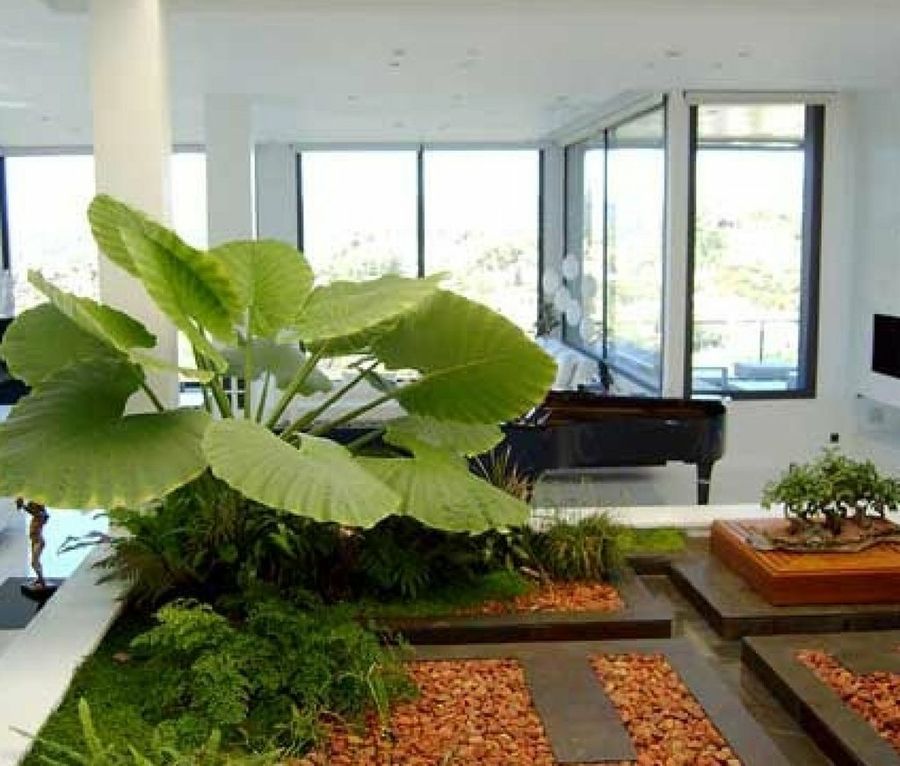 rqK_900.jpg