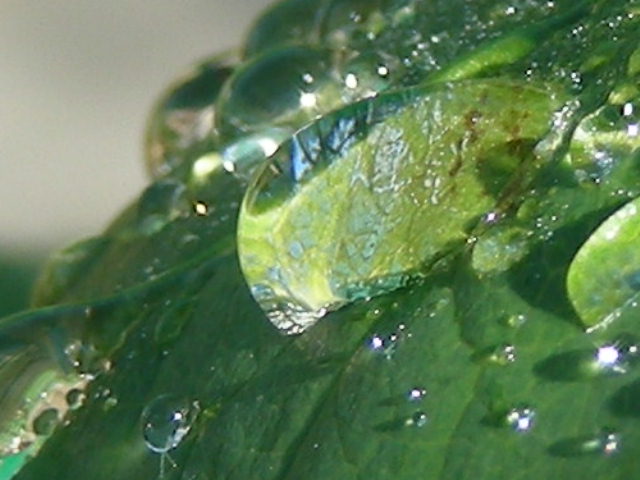 RSCN2814.JPG