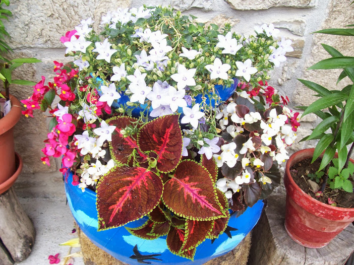 ruedas+con+flores+001.jpg
