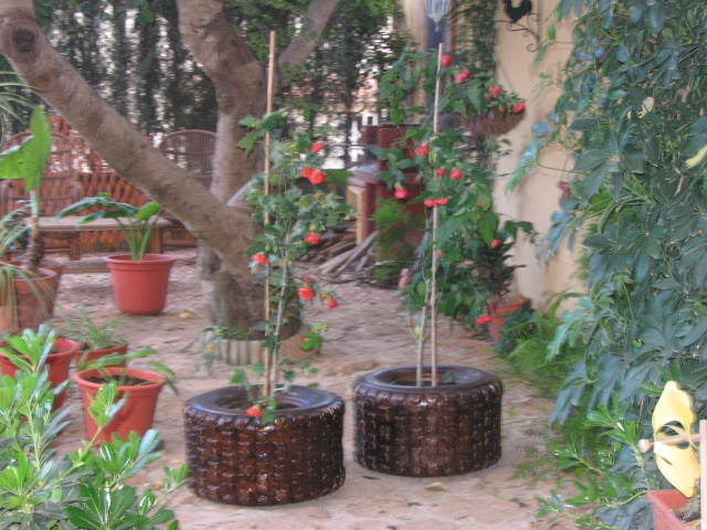 ruedas002.jpg