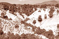 rut120403-1.jpg