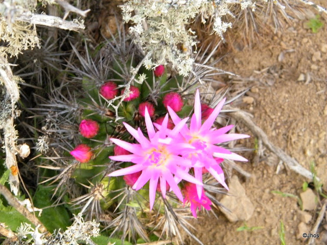 Ruta%20a%20Barrancas%2020090919%20020.jpg