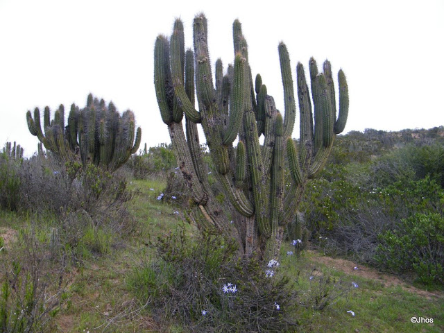 Ruta%20a%20Barrancas%2020090919%20058.jpg
