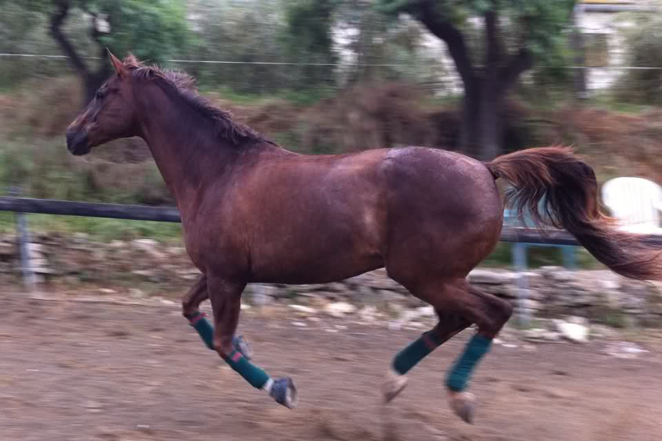 rwjpfl.jpg
