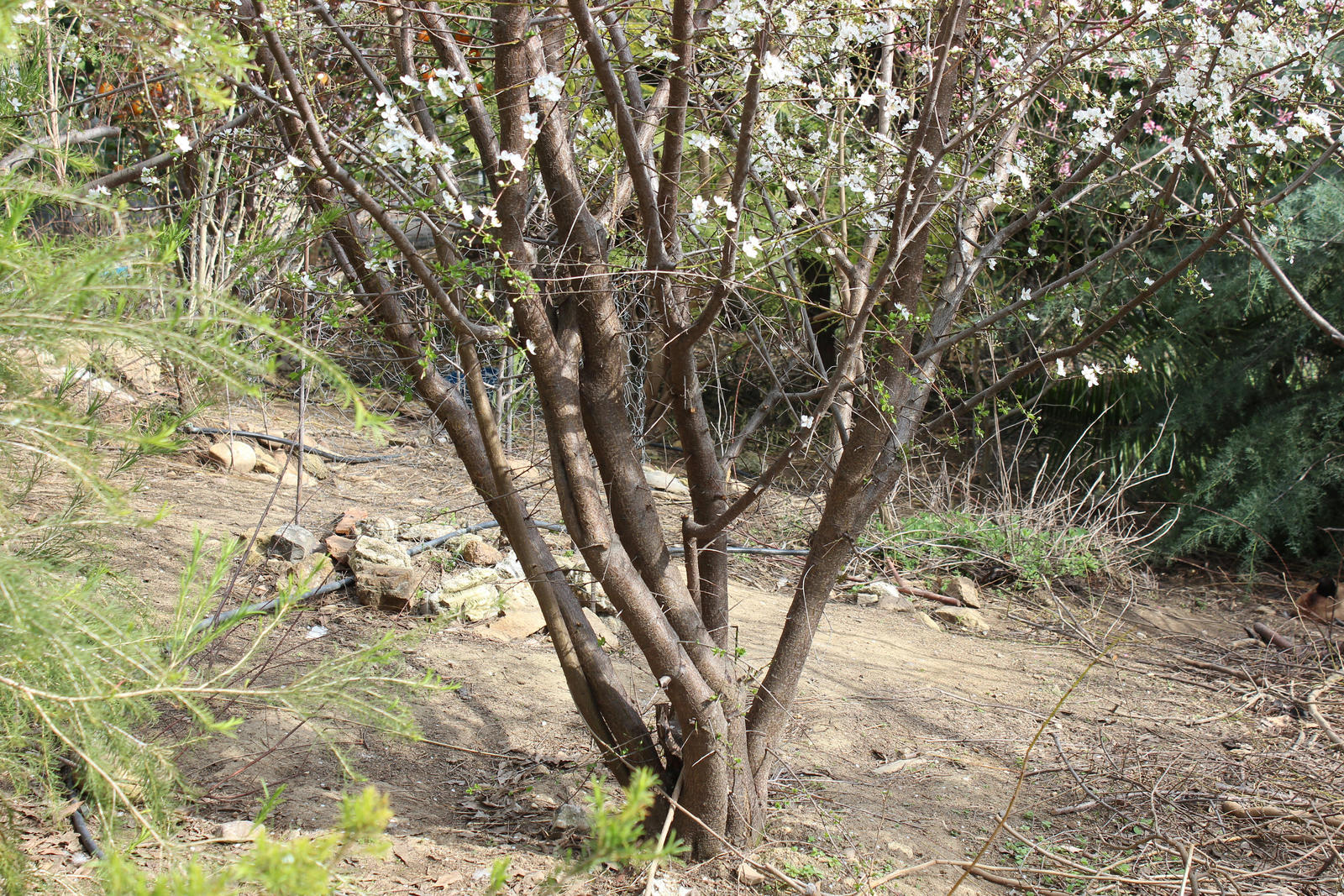 rx9l88oea3kssx3zg.jpg