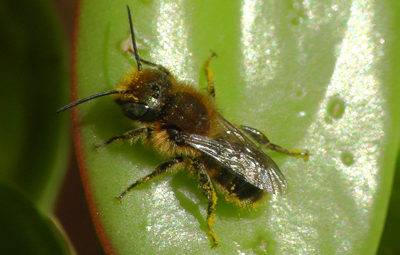 S1080015.jpg
