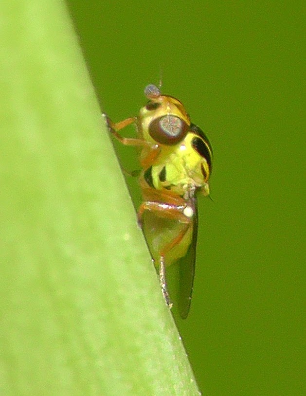 S1080051.jpg