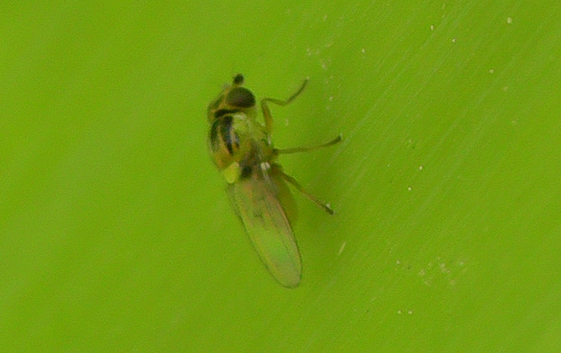 S1080053.jpg