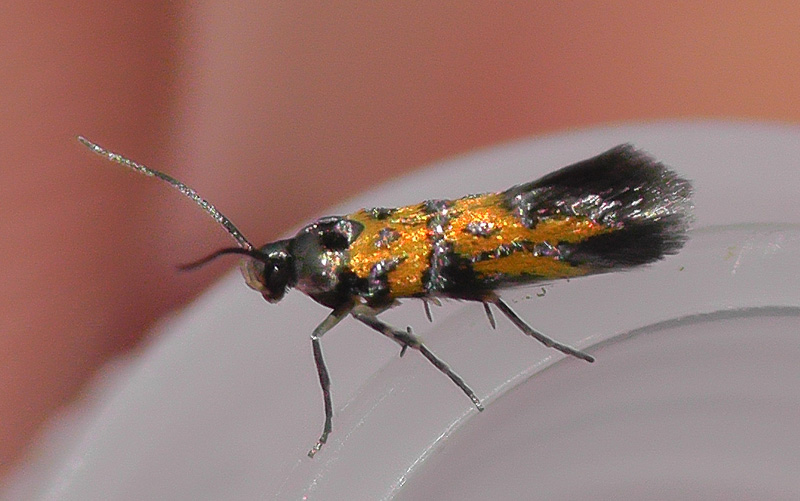 S1080057.jpg