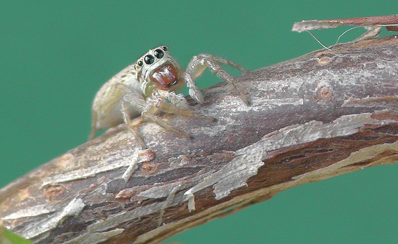 S1090004.jpg