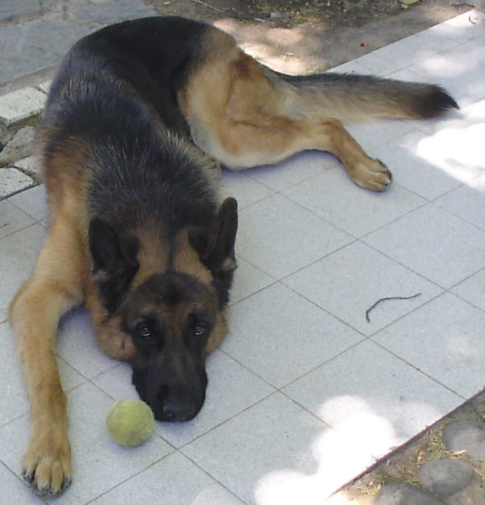 S2500012.JPG
