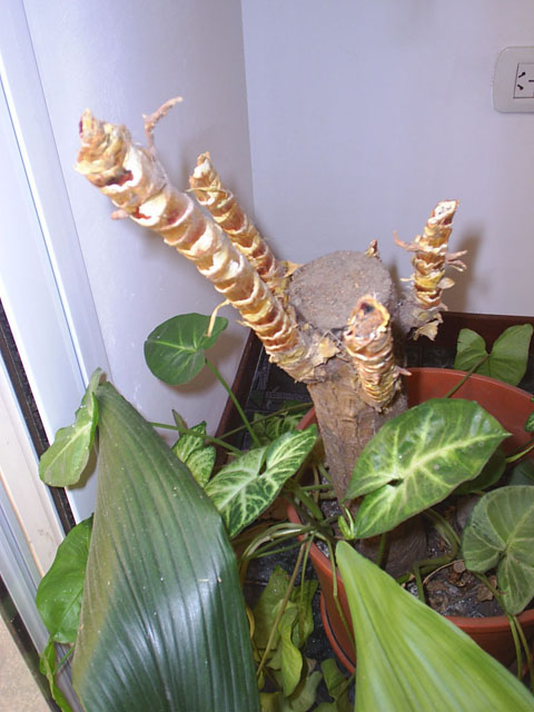 S3010226.jpg