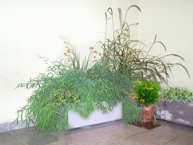 S3010398-.jpg