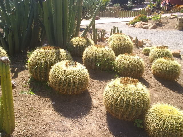 S3015102.jpg