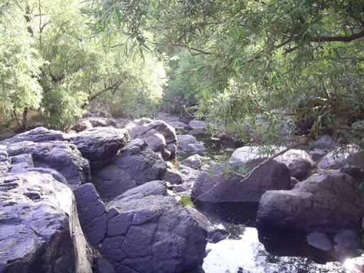 S3020009.JPG