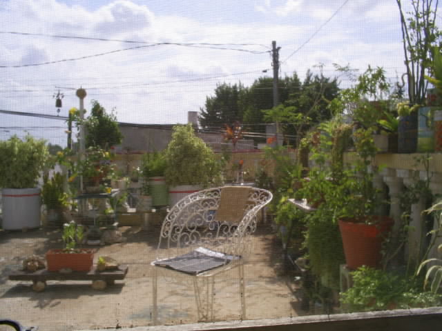 S4020079.JPG