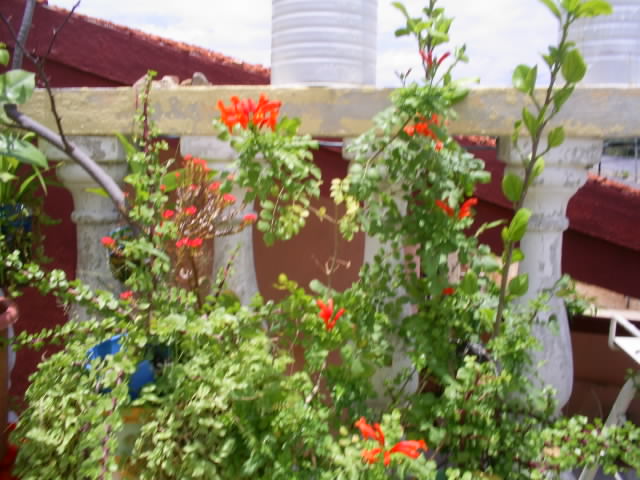 S4020174.JPG