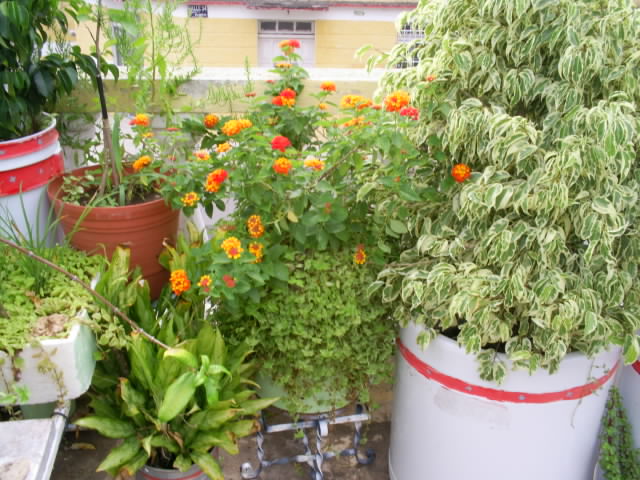 S4020265.JPG