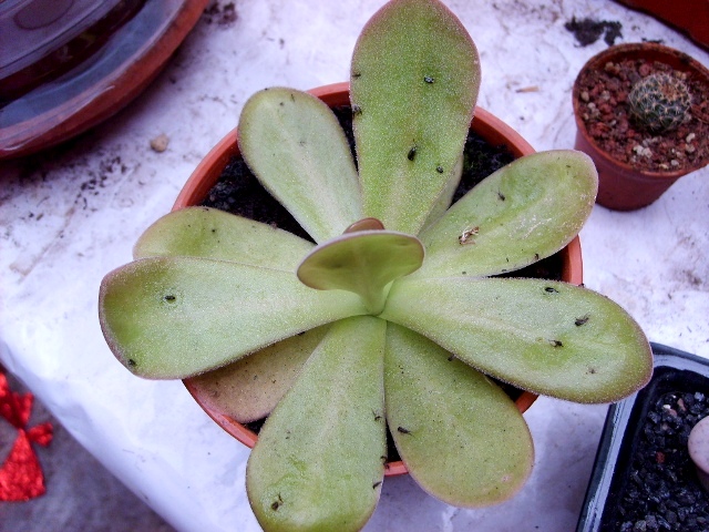 S5003430.JPG