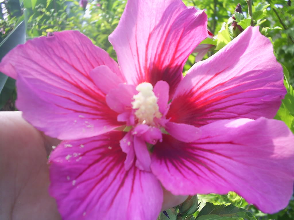 S5021590.jpg