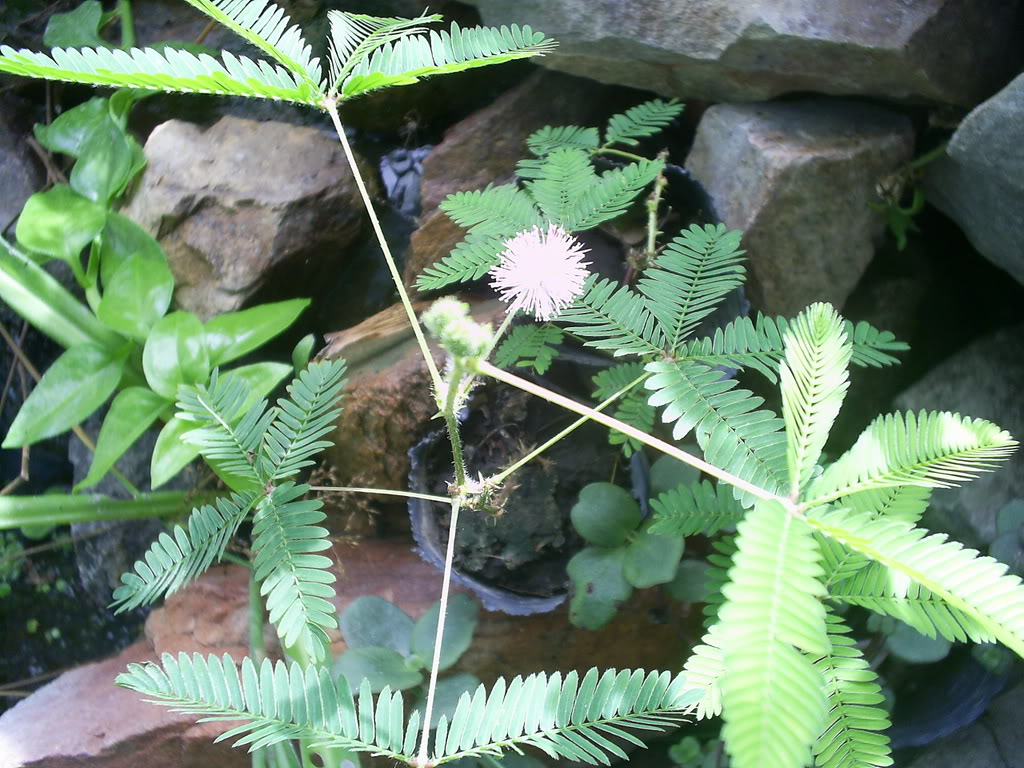 S5021645.jpg