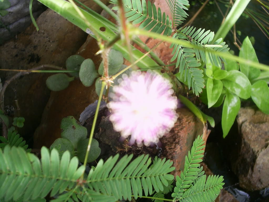 S5021646.jpg