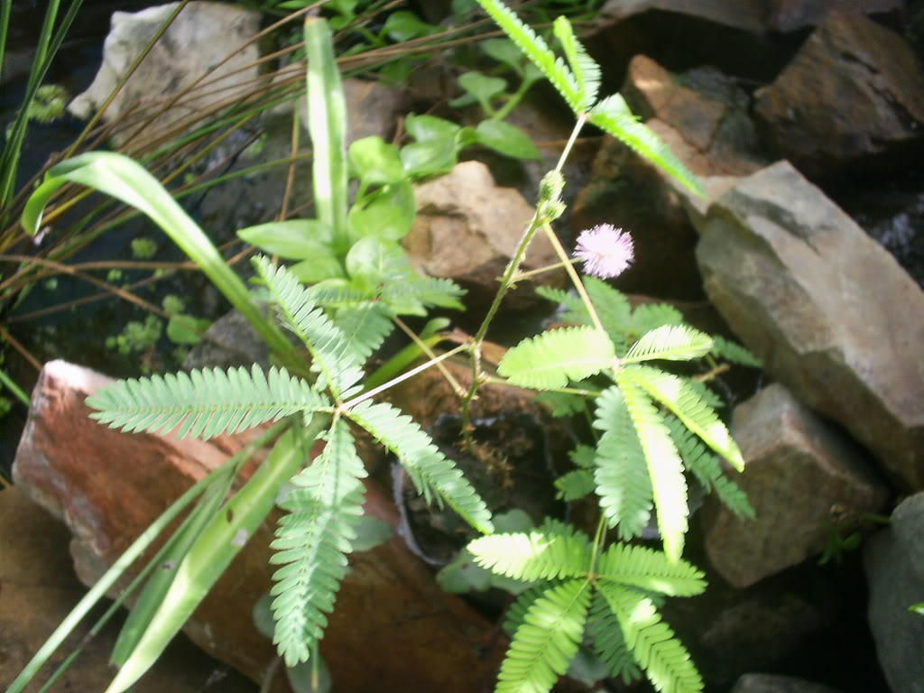 S5021647.jpg