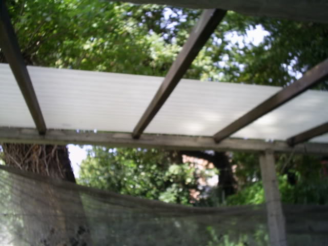 S5021813.jpg