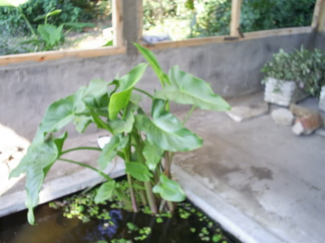 S5021928.jpg