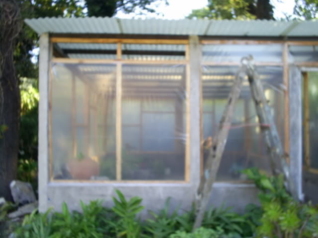 S5021950.jpg