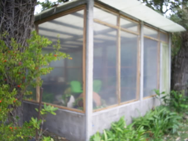 S5021964.jpg