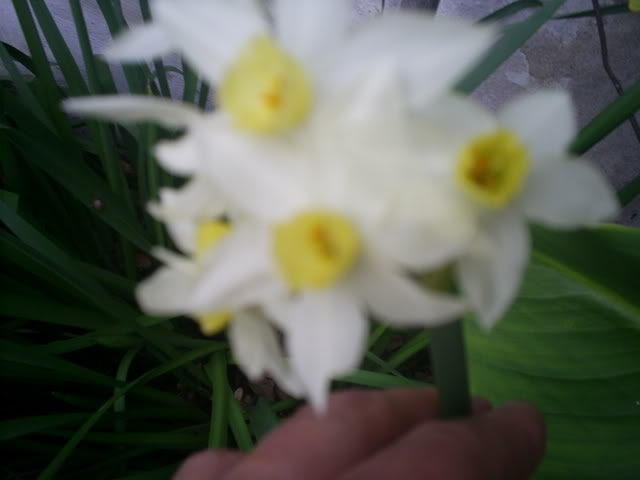 S5022124.jpg