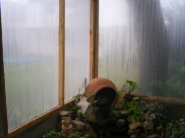 S5022158.jpg