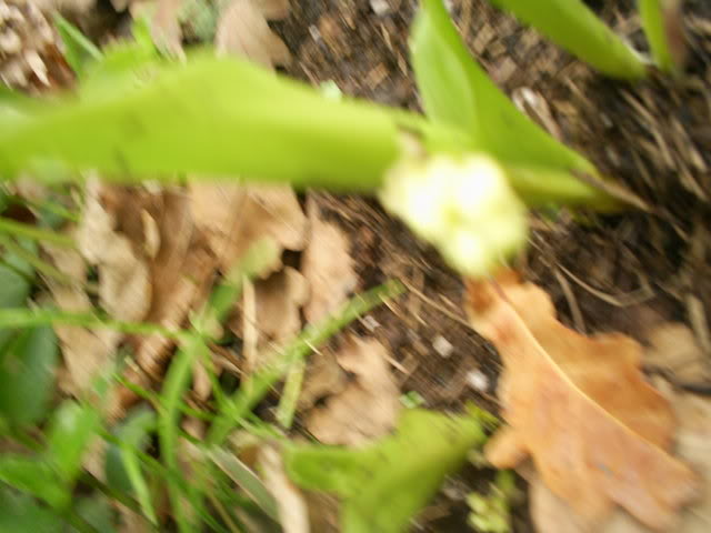 S5022162.jpg