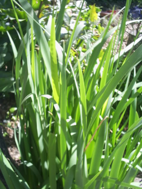 S5022328.jpg