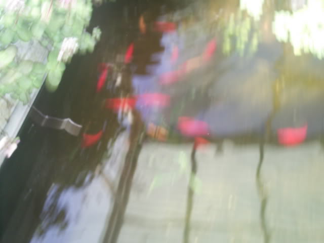 S5022331.jpg